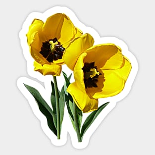 Tulip Best Friends Sticker